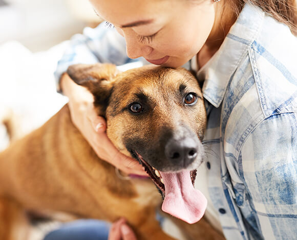 皆様の大切な家族である動物たちに、いつまでも幸せに暮らせる環境を提供したい