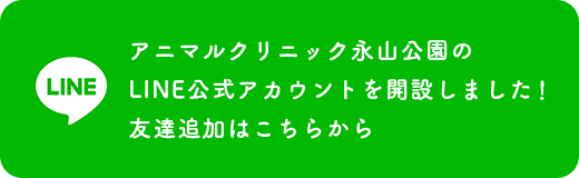 LINE公式アカウントのご登録はこちら