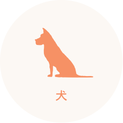 犬